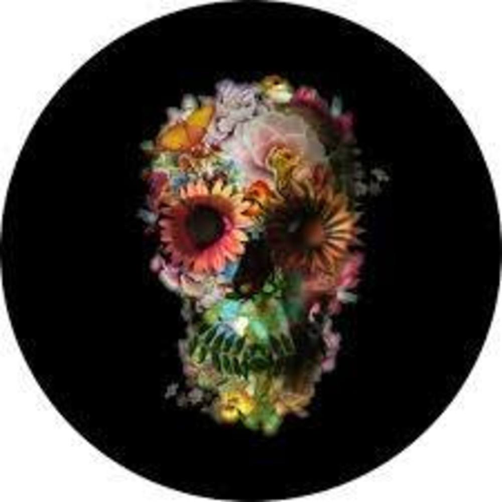 Meet your Posher, Kari